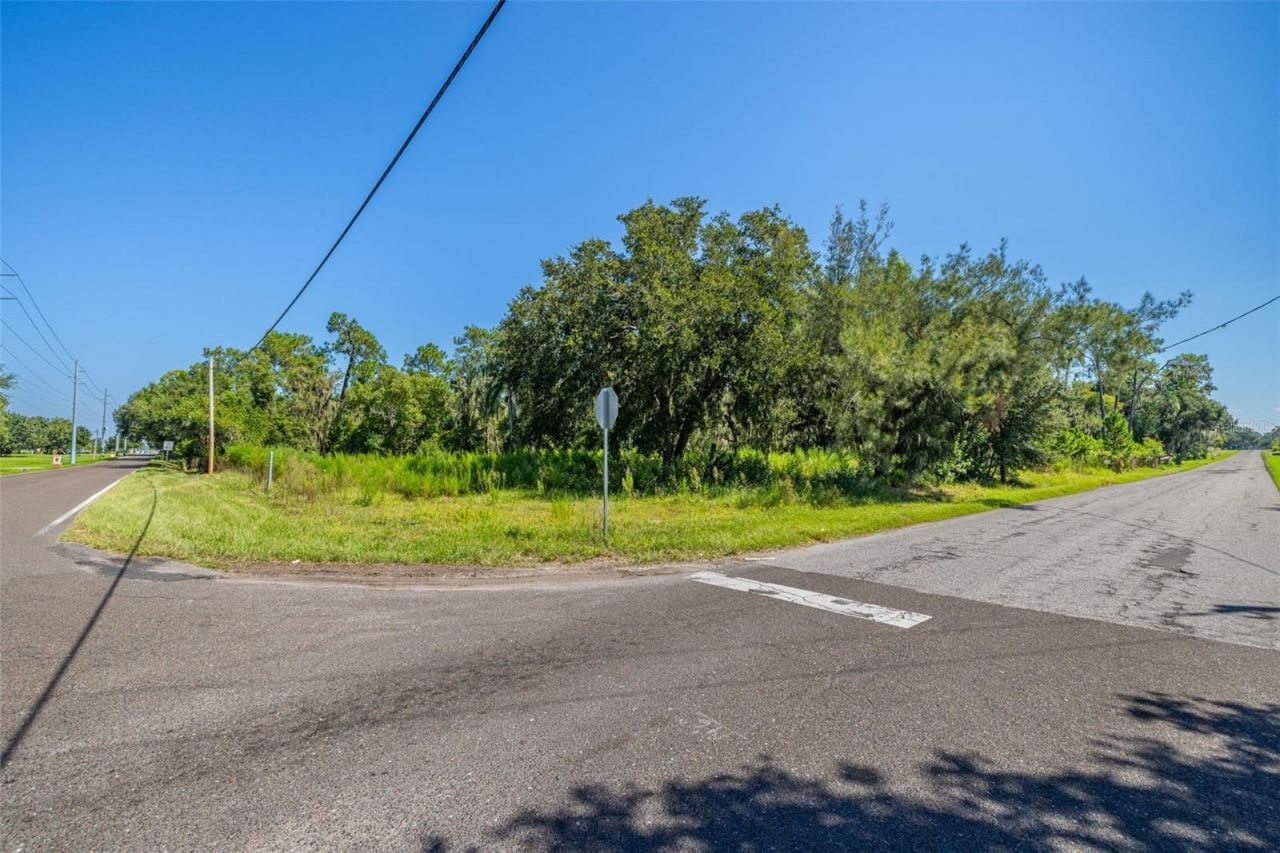 13410 Walden Sheffield Road, Dover, FL 33527 Photo