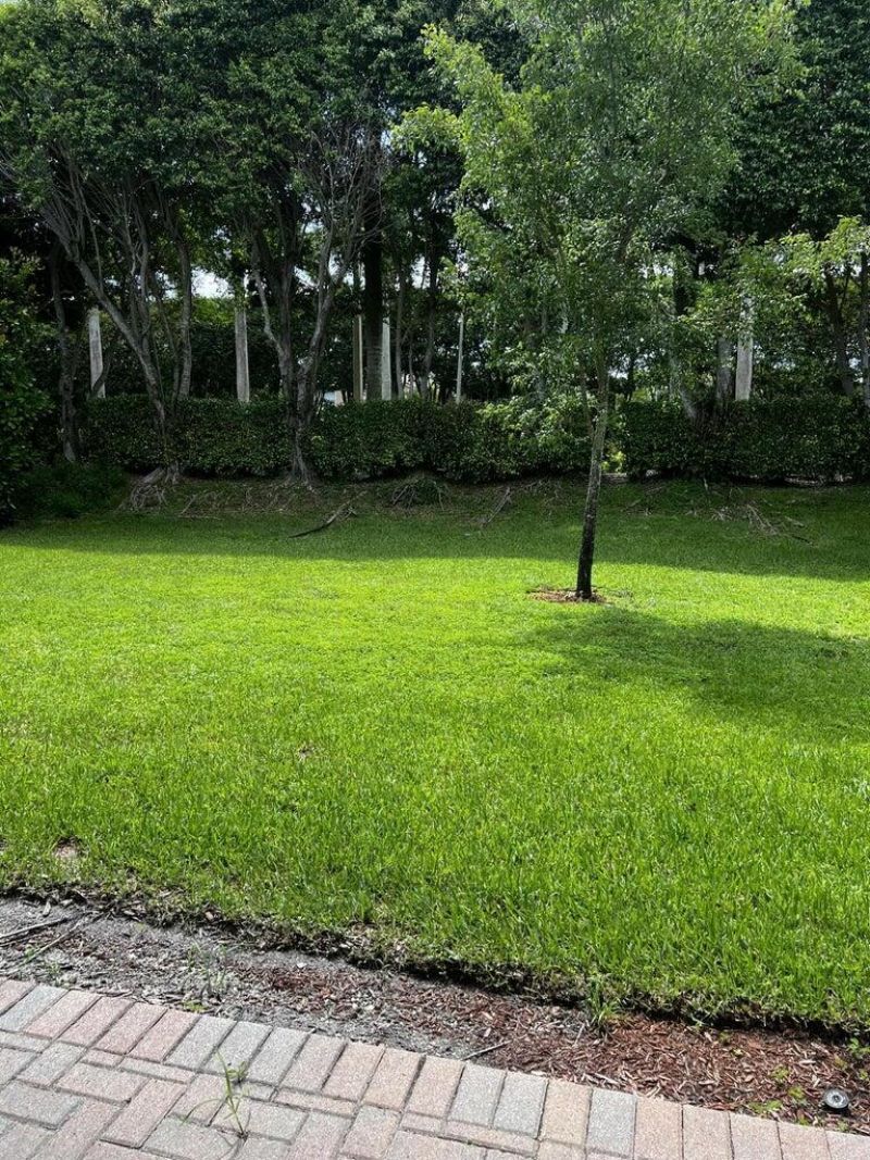 9555 Phipps Lane, Wellington, FL 33414 Photo