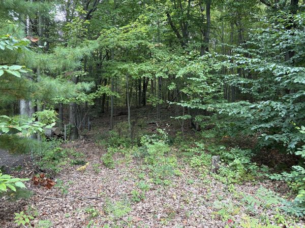 Lot 62, 14th Avenue, Mears, MI 49436