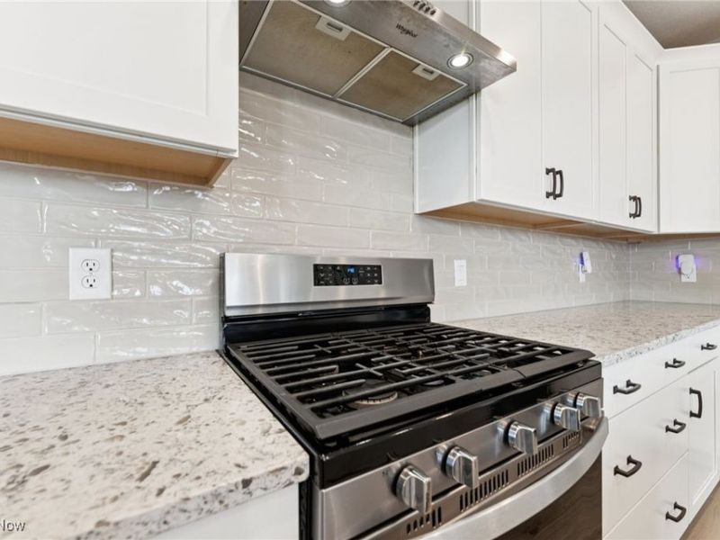 8809 Leatherleaf Drive, Columbia Station, OH 44028 Photo 11