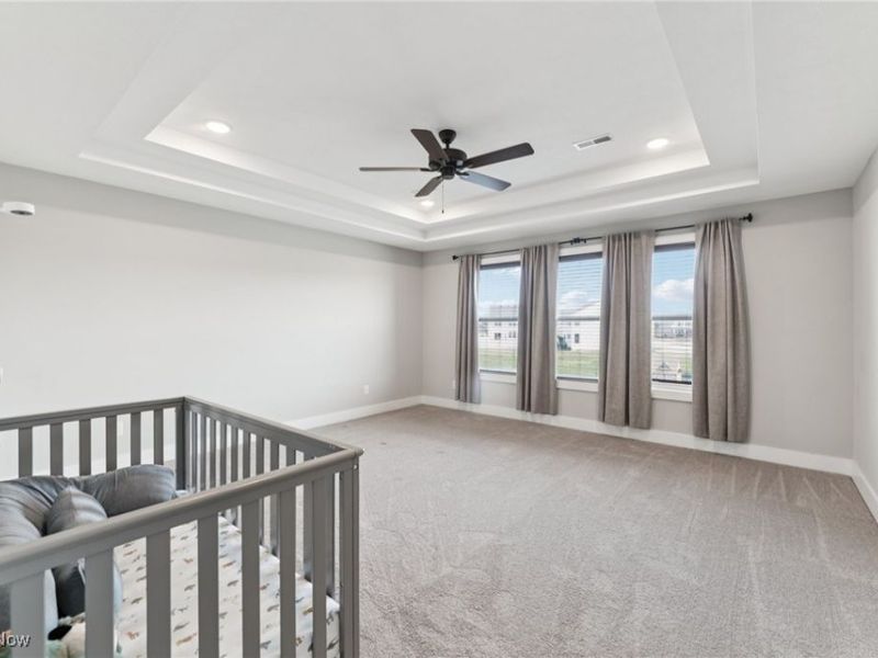 8809 Leatherleaf Drive, Columbia Station, OH 44028 Photo 28