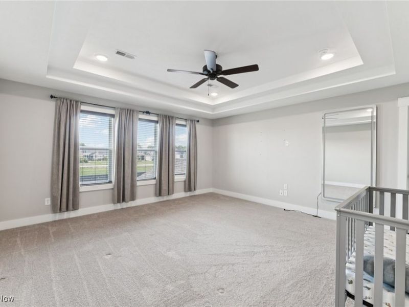 8809 Leatherleaf Drive, Columbia Station, OH 44028 Photo 29