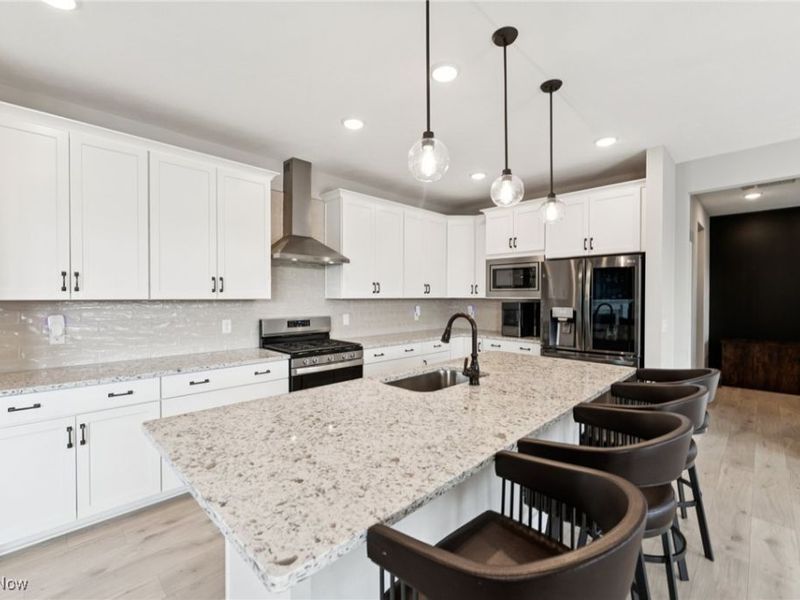 8809 Leatherleaf Drive, Columbia Station, OH 44028 Photo 9