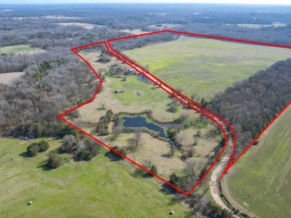 102 Acres County Road 2376, Winnsboro, TX 75494