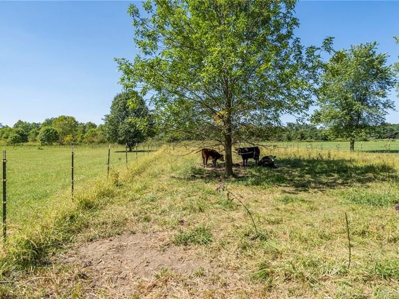 963 Pratt Road, Vernon Township, OH 45107 Photo 25