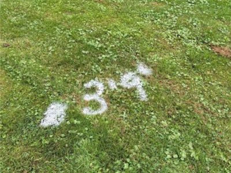 71 Twp Rd 1075, Bergholz, OH 43908 Photo 32