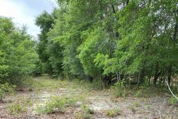 00 Salley Road photo 4