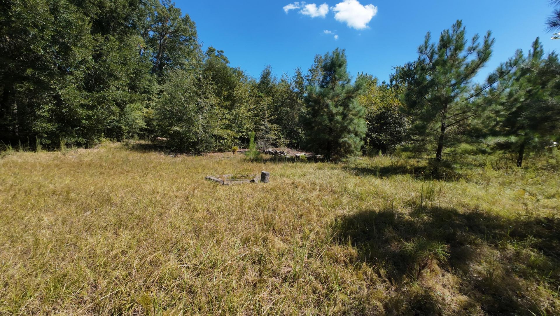 00 Salley Road Photo 23