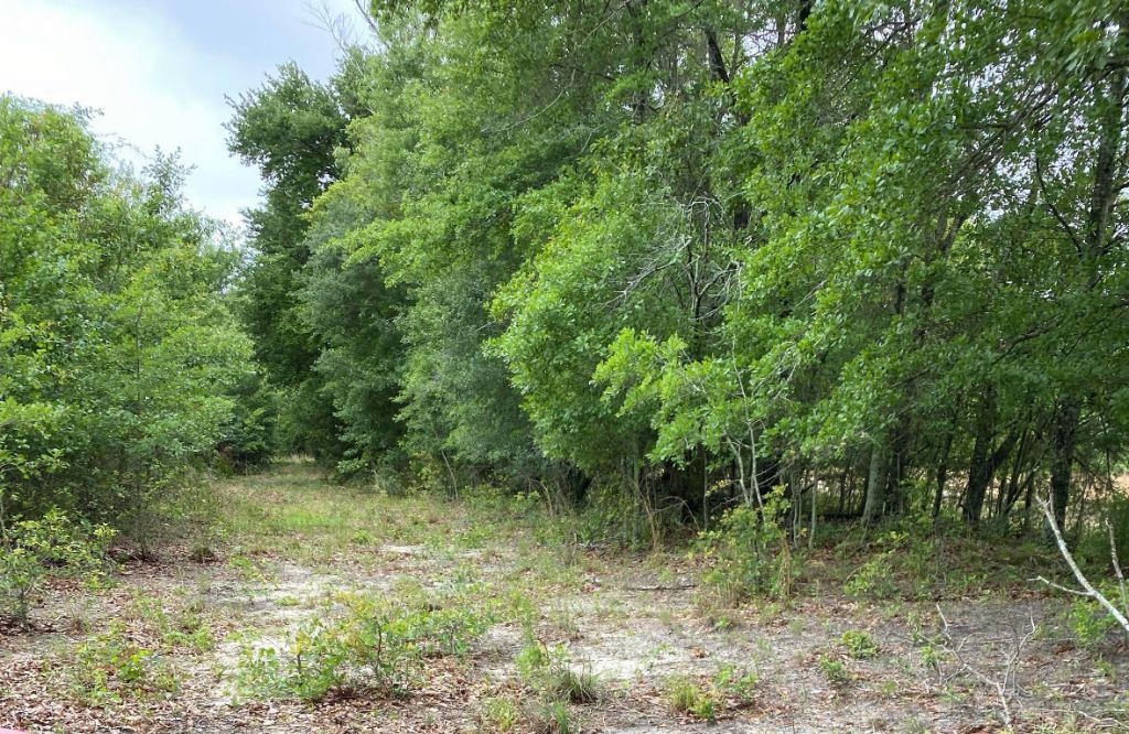 00 Salley Road Photo 25