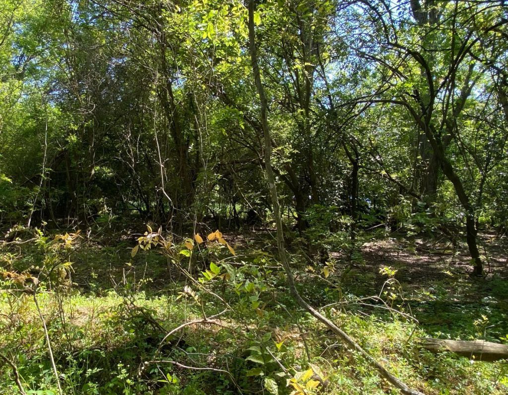 00 Salley Road Photo 26