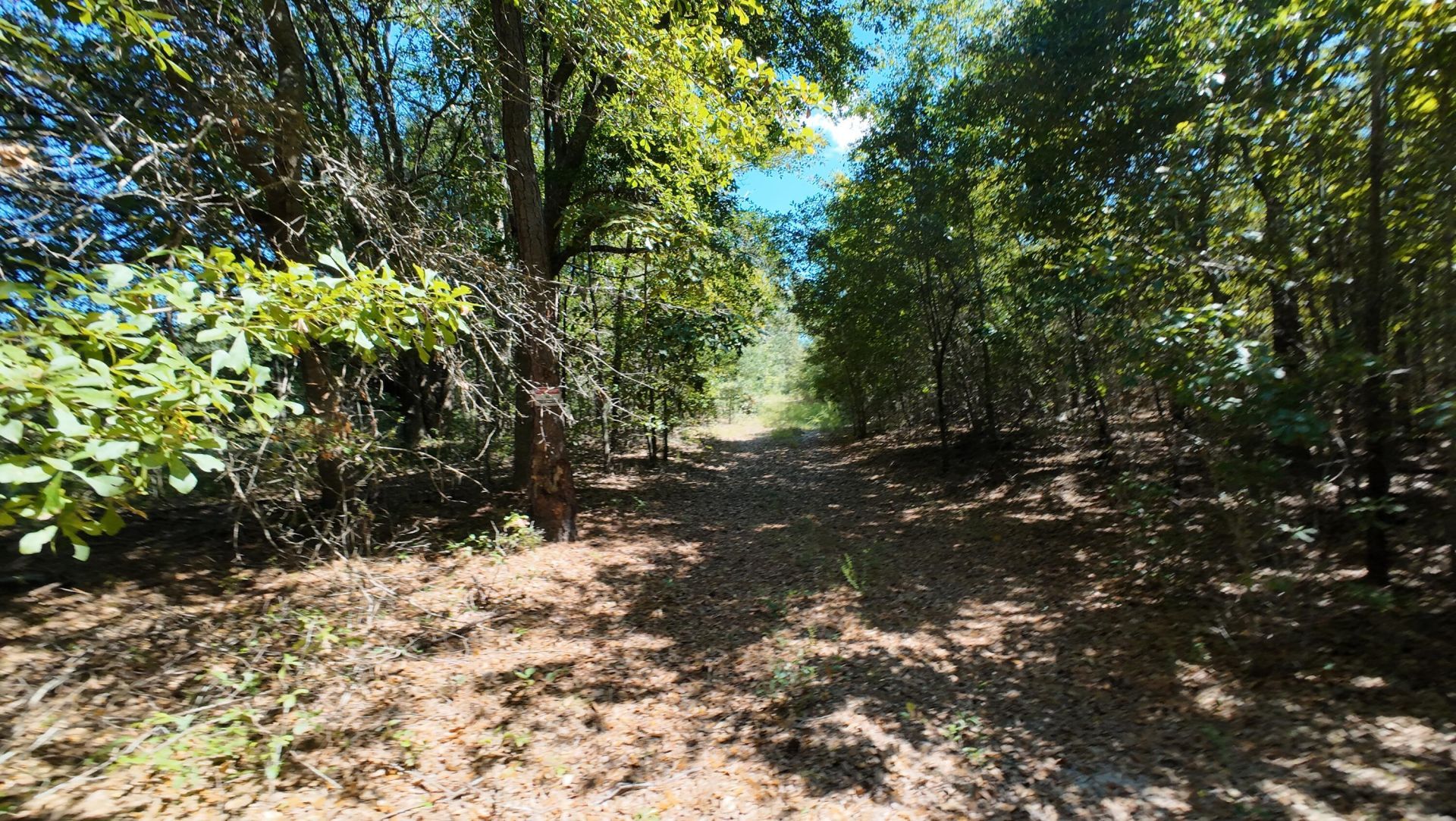00 Salley Road Photo 28