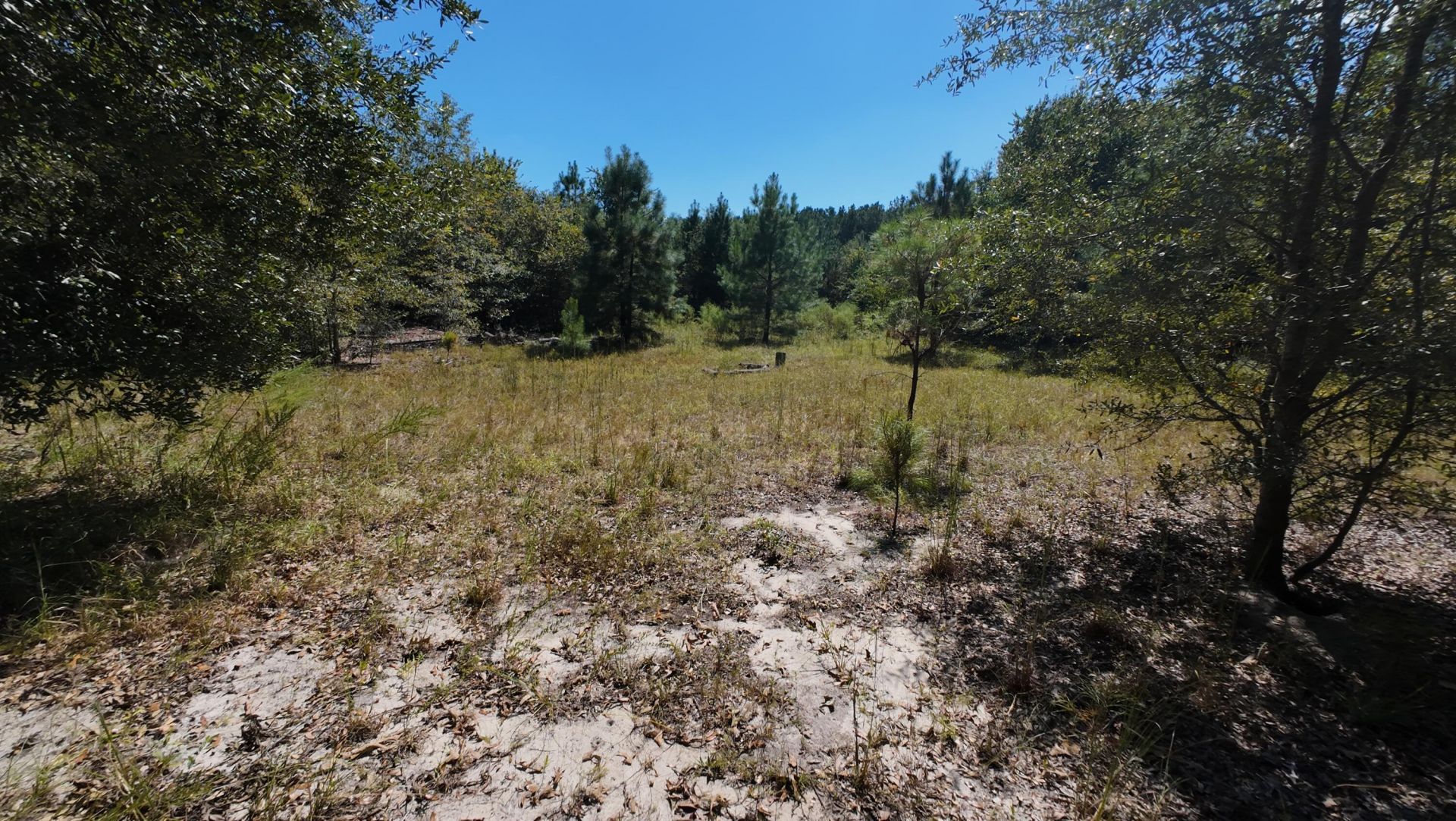 00 Salley Road Photo 29