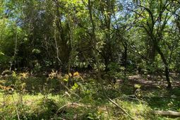 00 Salley Road photo 4