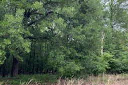 00 Salley Road photo 4