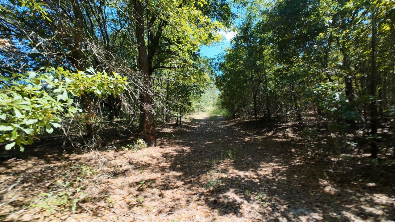 00 Salley Road Photo 5