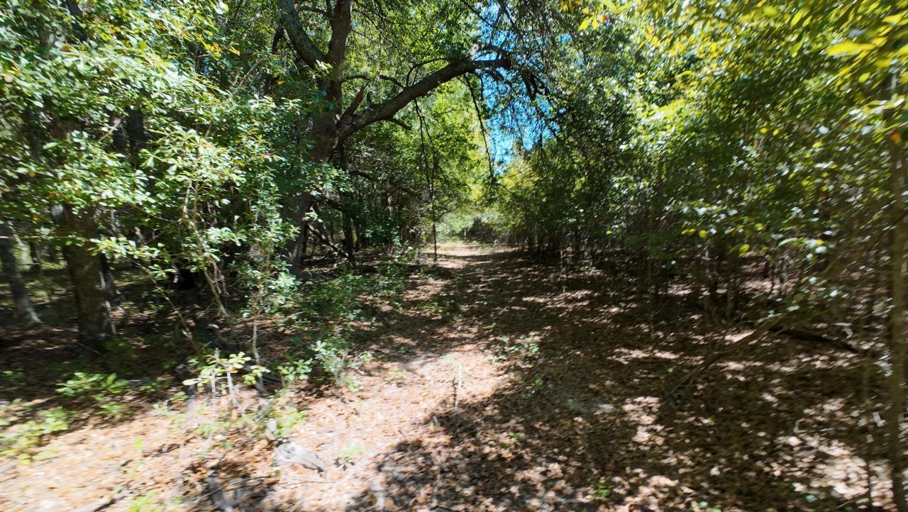 00 Salley Road Photo 7