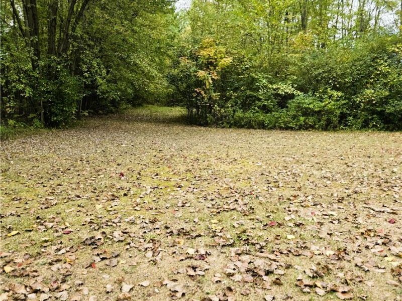 23685 Royalton Road, Columbia Station, OH 44028 Photo 14