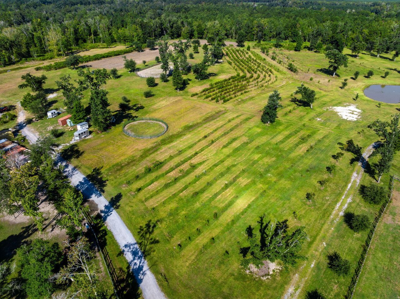 8275 Highway 165 Photo 19