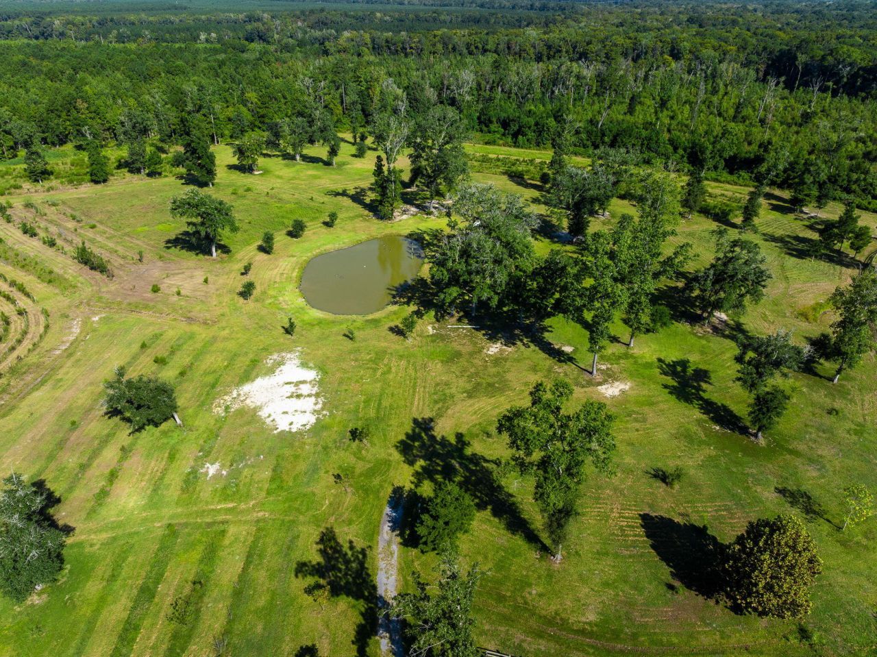 8275 Highway 165 Photo 25