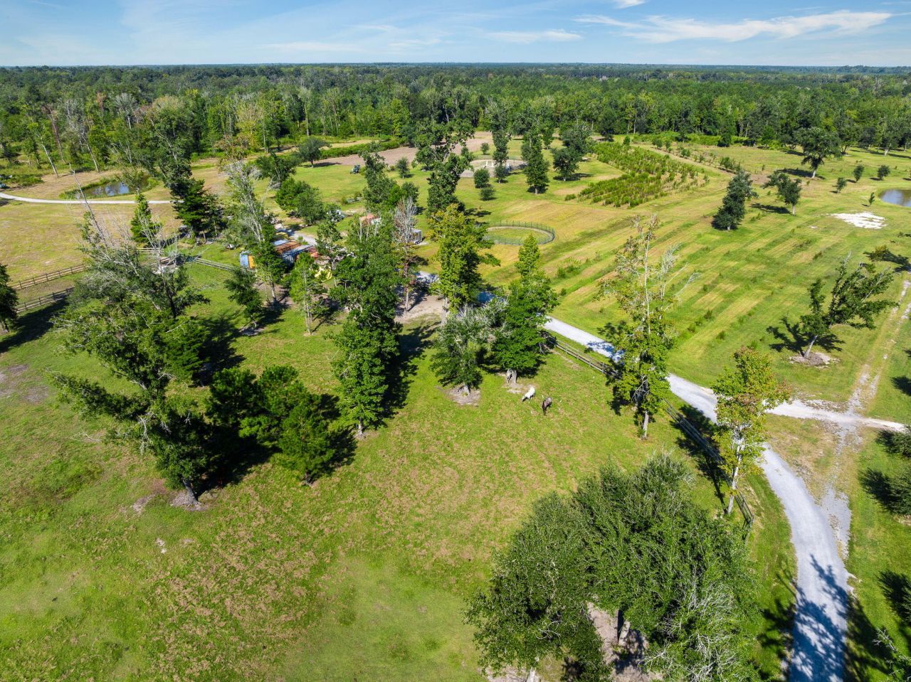 8275 Highway 165 Photo 30