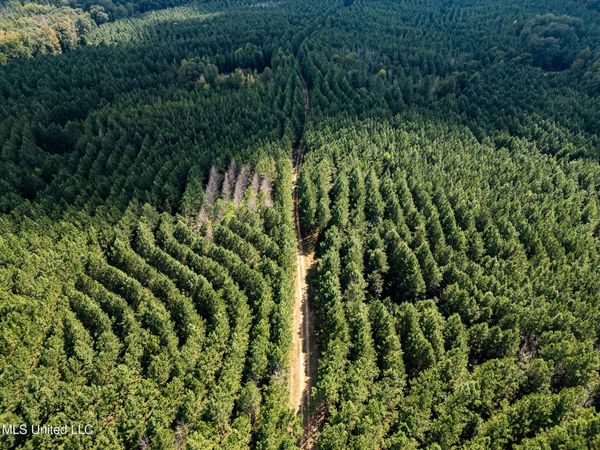 3228 Highway 548, Hermanville, MS 39086