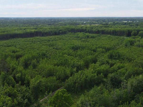 E Freesoil Road, Unit 40 acres, Free Soil, MI 49411