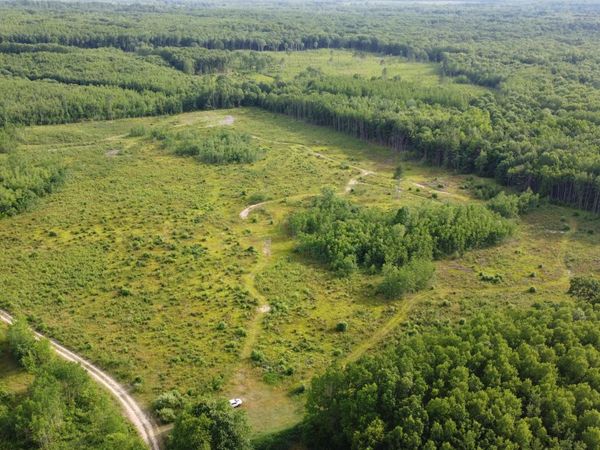 E Freesoil Road, Unit 40 acres, Free Soil, MI 49411