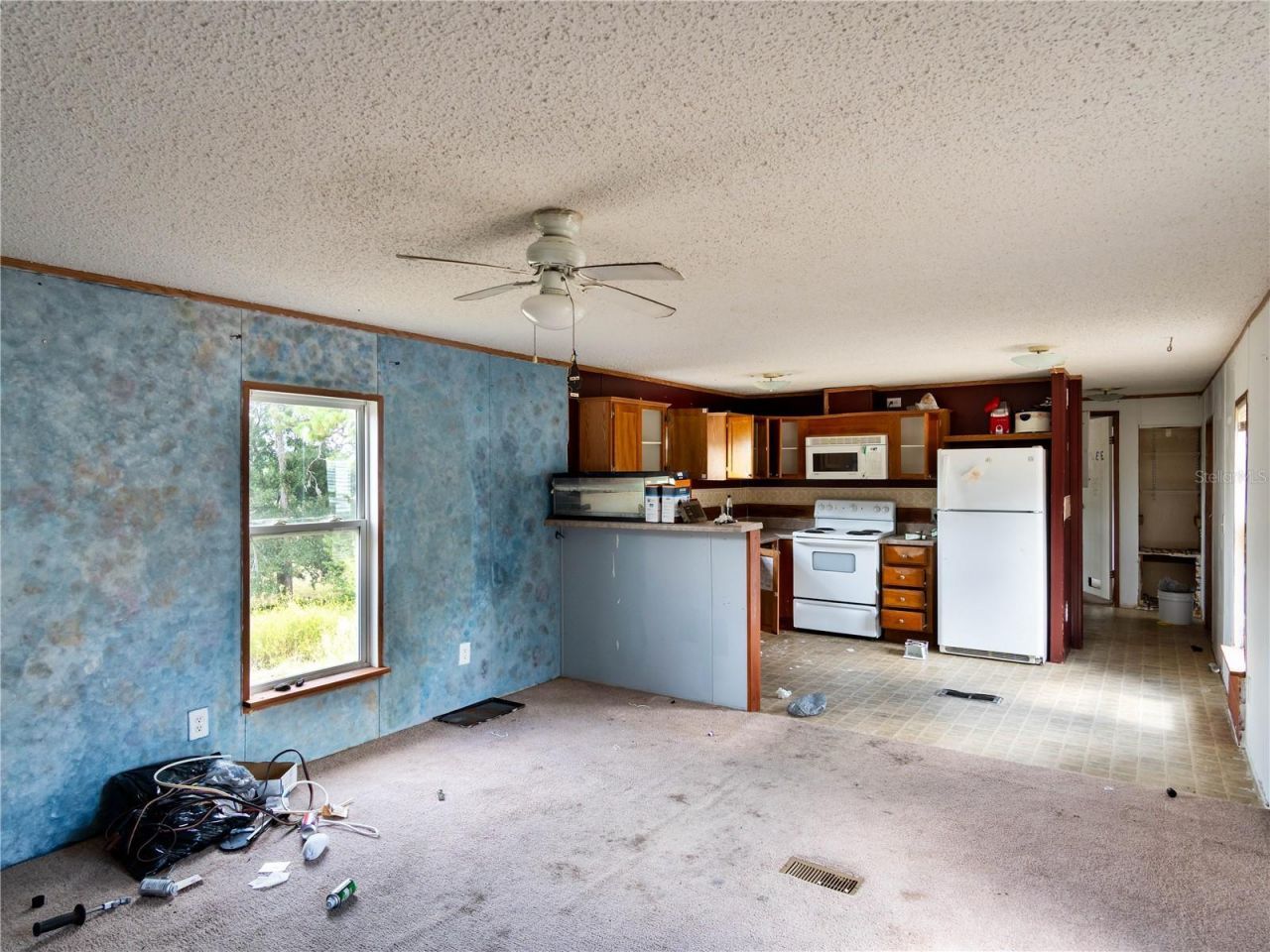 4982 W Woodlawn Street, Dunnellon, FL 34433 Photo