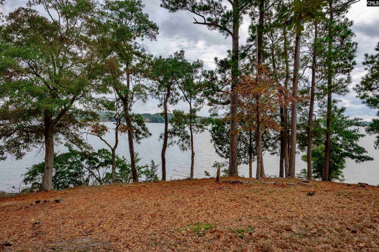 20 Hidden Circle Lane  Photo 11