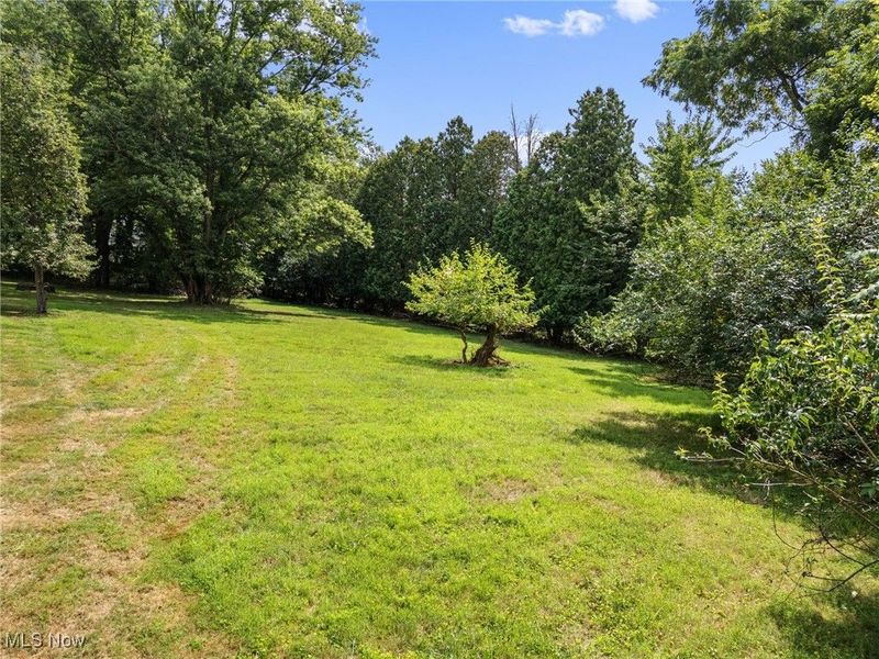 Elberta Avenue SW, Canton, OH 44709 Photo 2