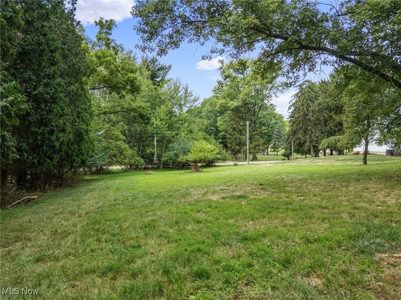 Elberta Avenue SW, Canton, OH 44709 Photo 3