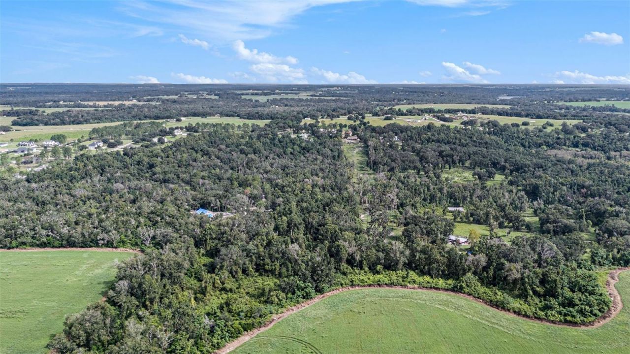 14638 Treeleaf Lane, Dade City, FL 33525 Photo