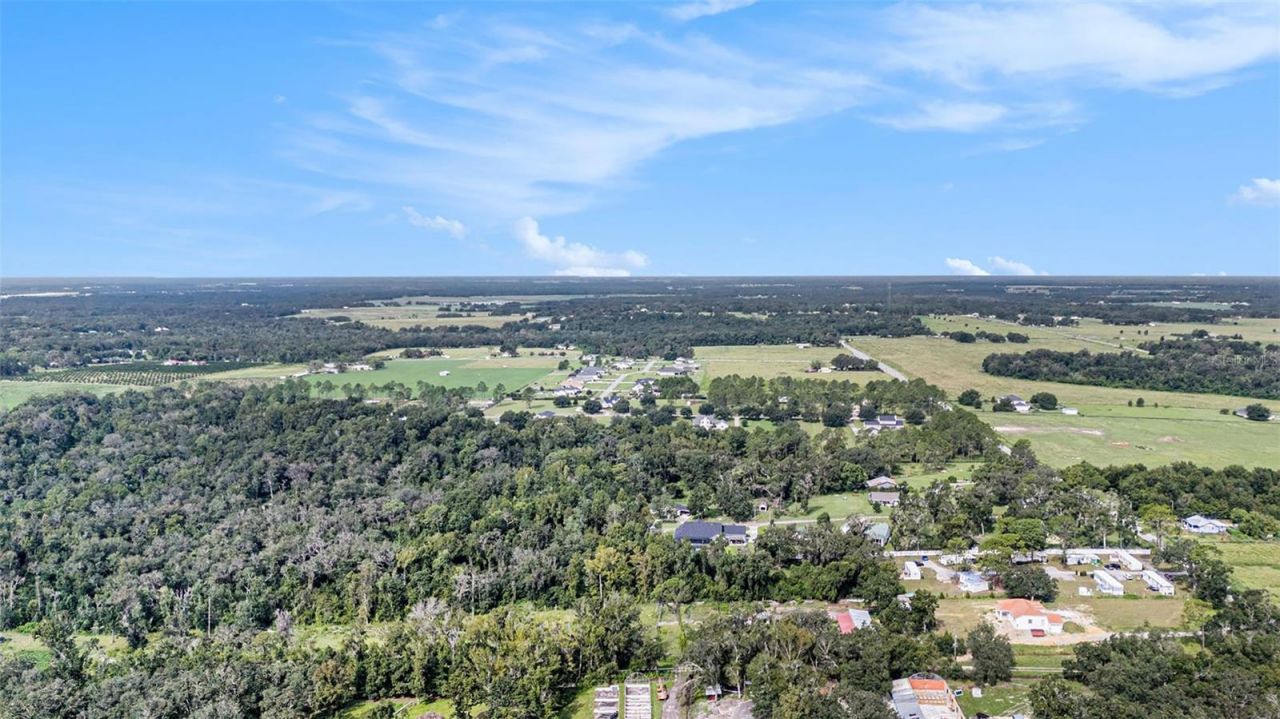 14638 Treeleaf Lane, Dade City, FL 33525 Photo