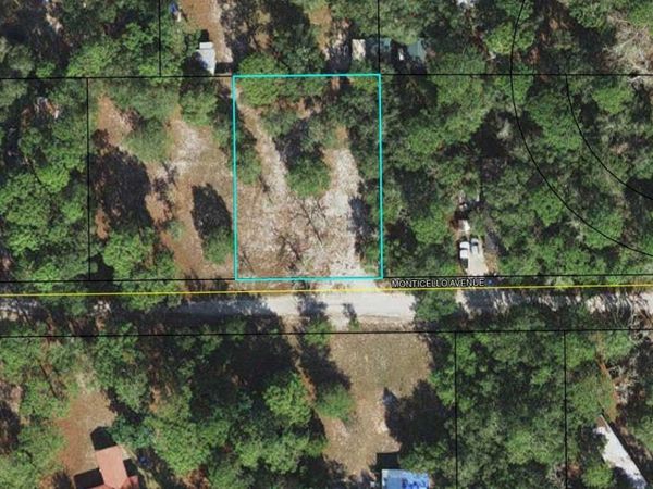 xxx Monticello Avenue, Panacea, FL 32346