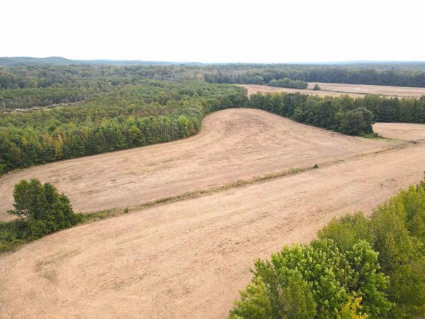 BUTLER CHAPEL RD, Ramer, TN 38367