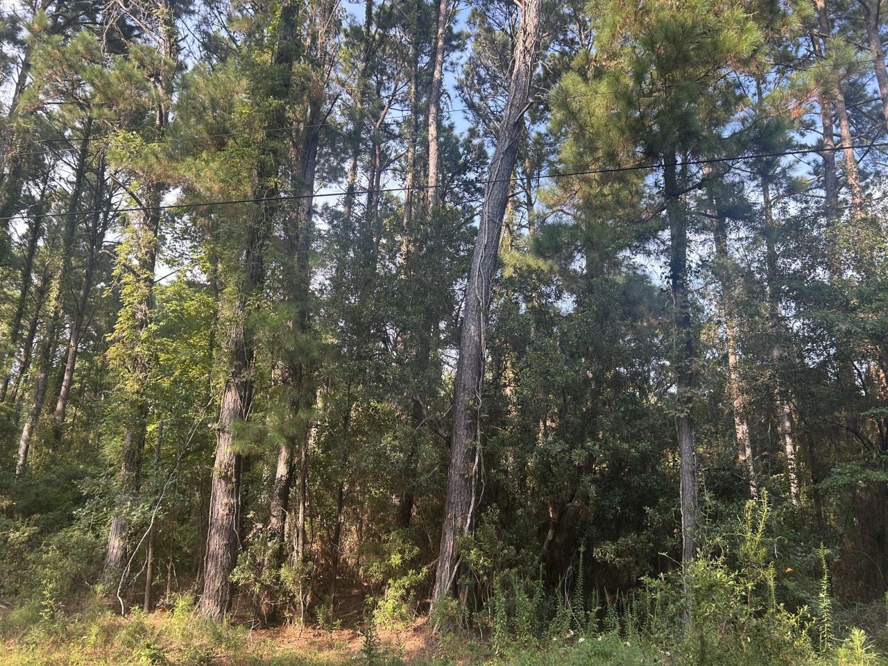 29 Harbor Breeze Drive Photo 2