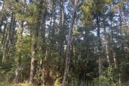 29 Harbor Breeze Drive photo 4