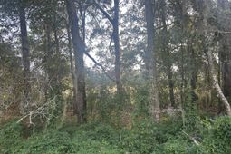 29 Harbor Breeze Drive photo 4