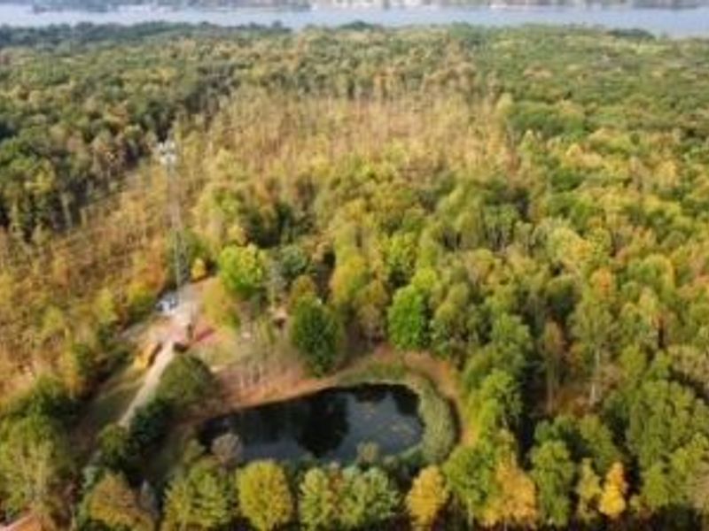 1990 N Pricetown Road, Diamond, OH 44412 Photo 3