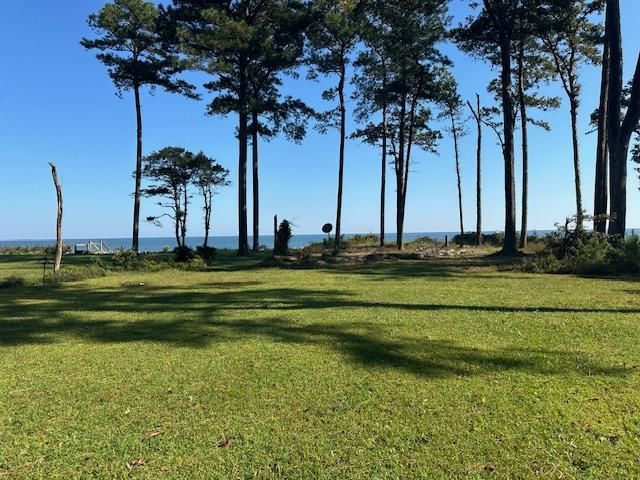 375 Pine Shore Lane, Burgess, VA 22432 Main Photo