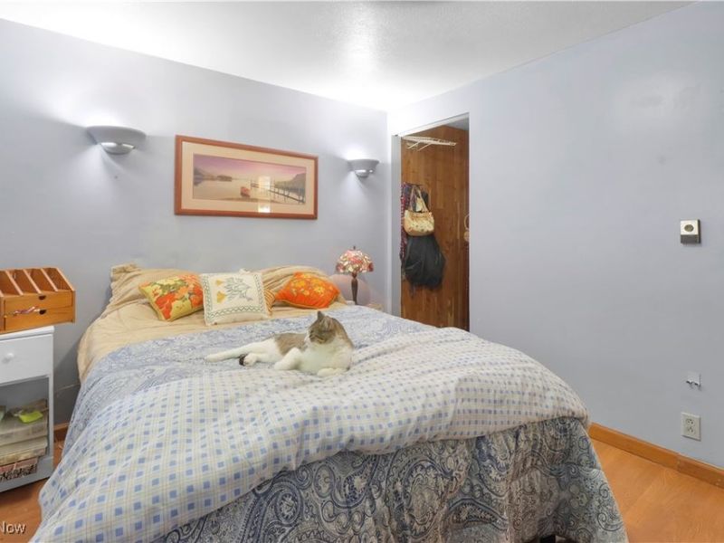 5123 4th Avenue, Andover, OH 44003 Photo 13