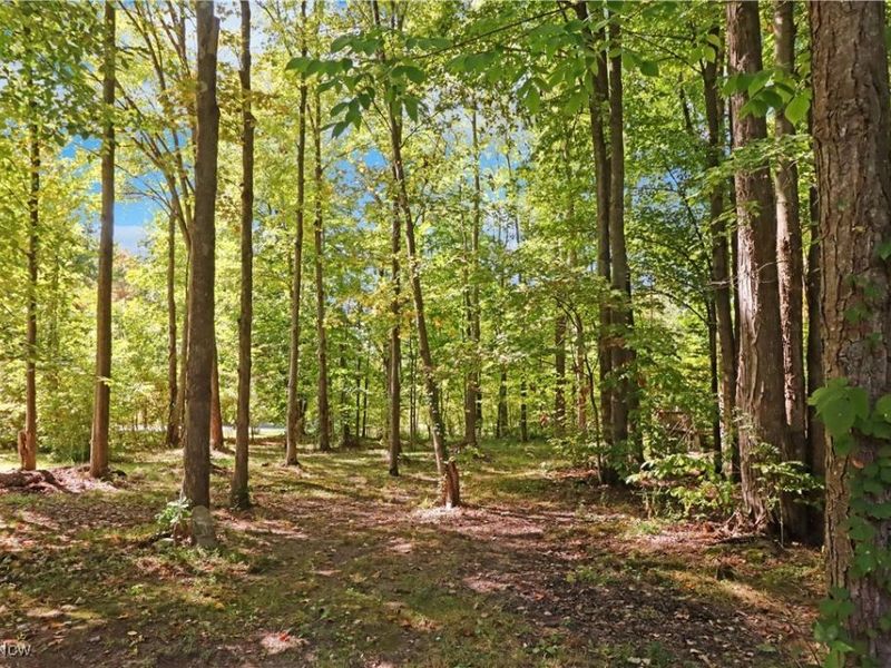 5123 4th Avenue, Andover, OH 44003 Photo 28