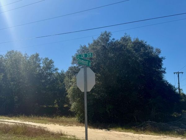 00 S COUNTY RD 315, Interlachen, FL 32148