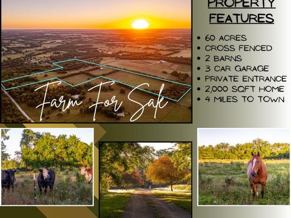 000 W Placer Lane , Willard, MO 65781