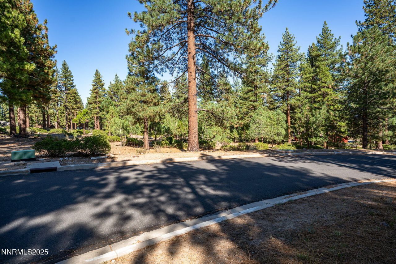 293 E Jeffrey Pine Road, Reno, NV 89511 Photo