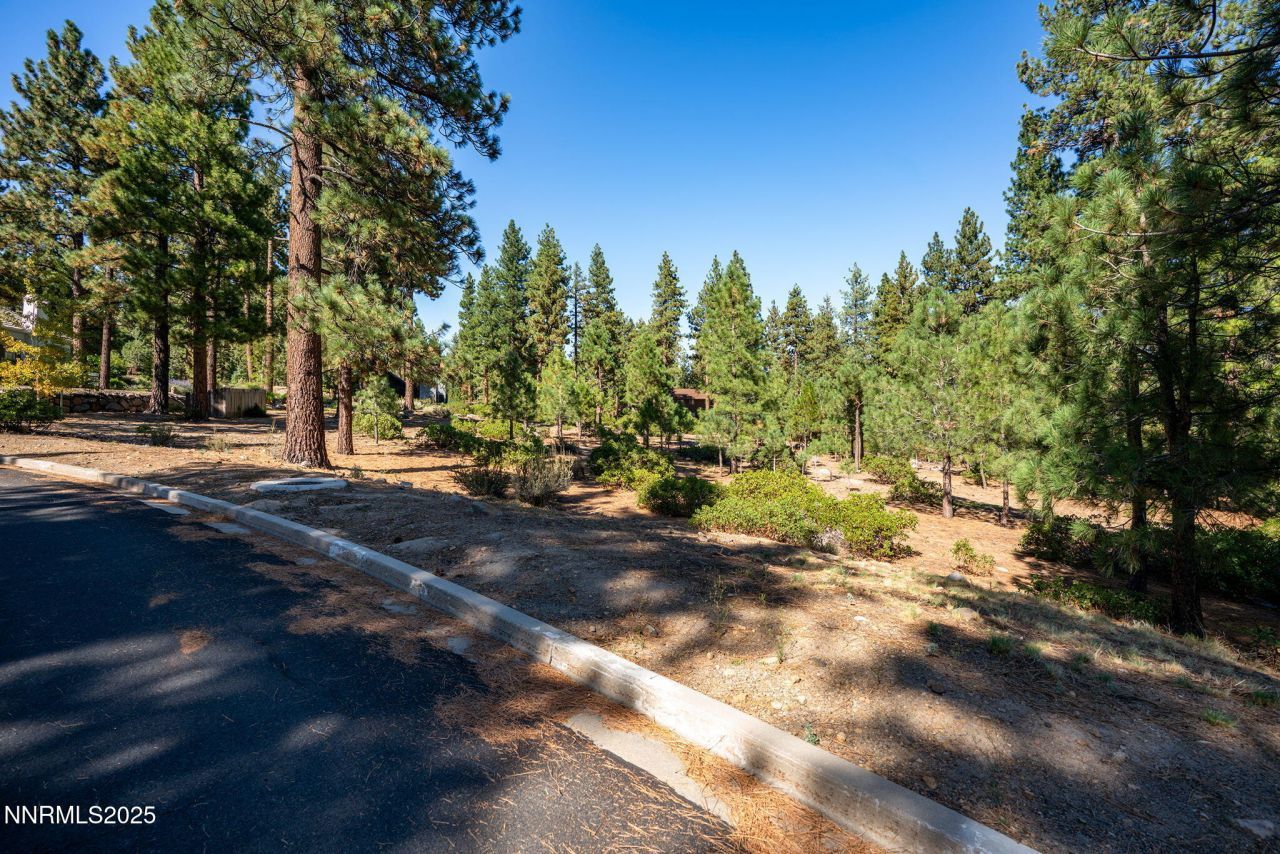 293 E Jeffrey Pine Road, Reno, NV 89511 Photo