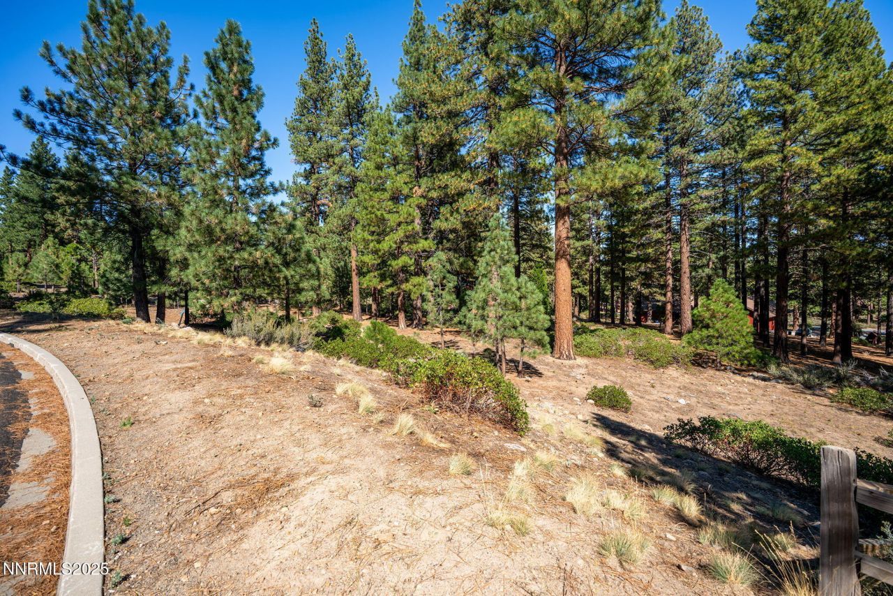 293 E Jeffrey Pine Road, Reno, NV 89511 Photo