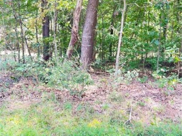 0 Gatewood Road, Woodford, VA 22580