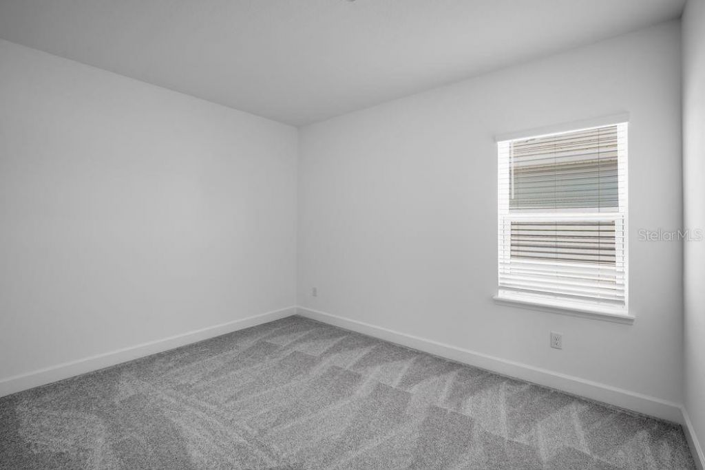 1685 Trailhead Lane, Zephyrhills, FL 33541 Photo