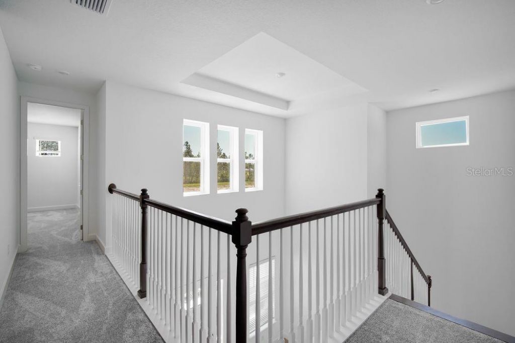 1685 Trailhead Lane, Zephyrhills, FL 33541 Photo